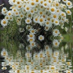 Meet your Posher, Christy